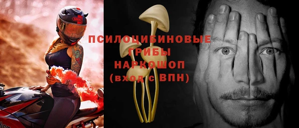 а пвп мука Гусь-Хрустальный